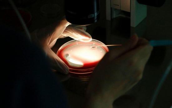 Synthetic Embryos: Is it Scientists Playing God?