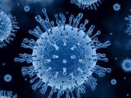 The Coronavirus Outbreak
