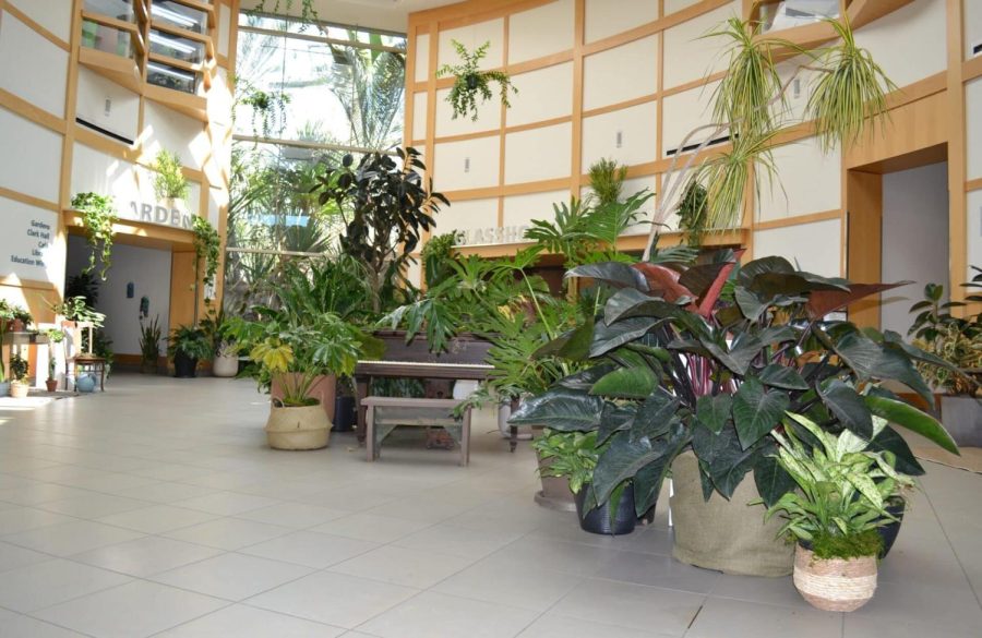 Cleveland Botanical Garden House Plant Exhibit