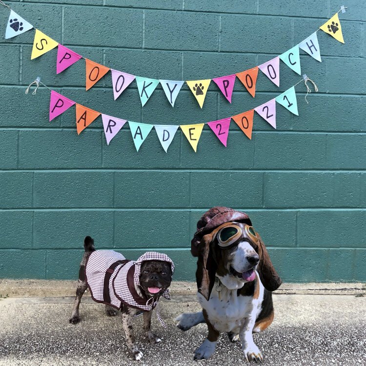 Pooches in 2021s parade. Courtesy of LakewoodAlive.