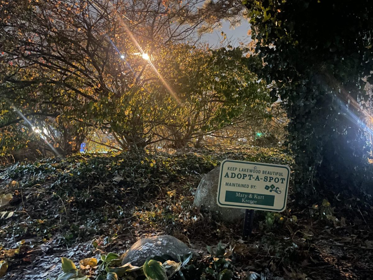 One of several Adopt-A-Spots managed by Keep Lakewood Beautiful, this site in Lakewood Park helps maintain the area's beauty