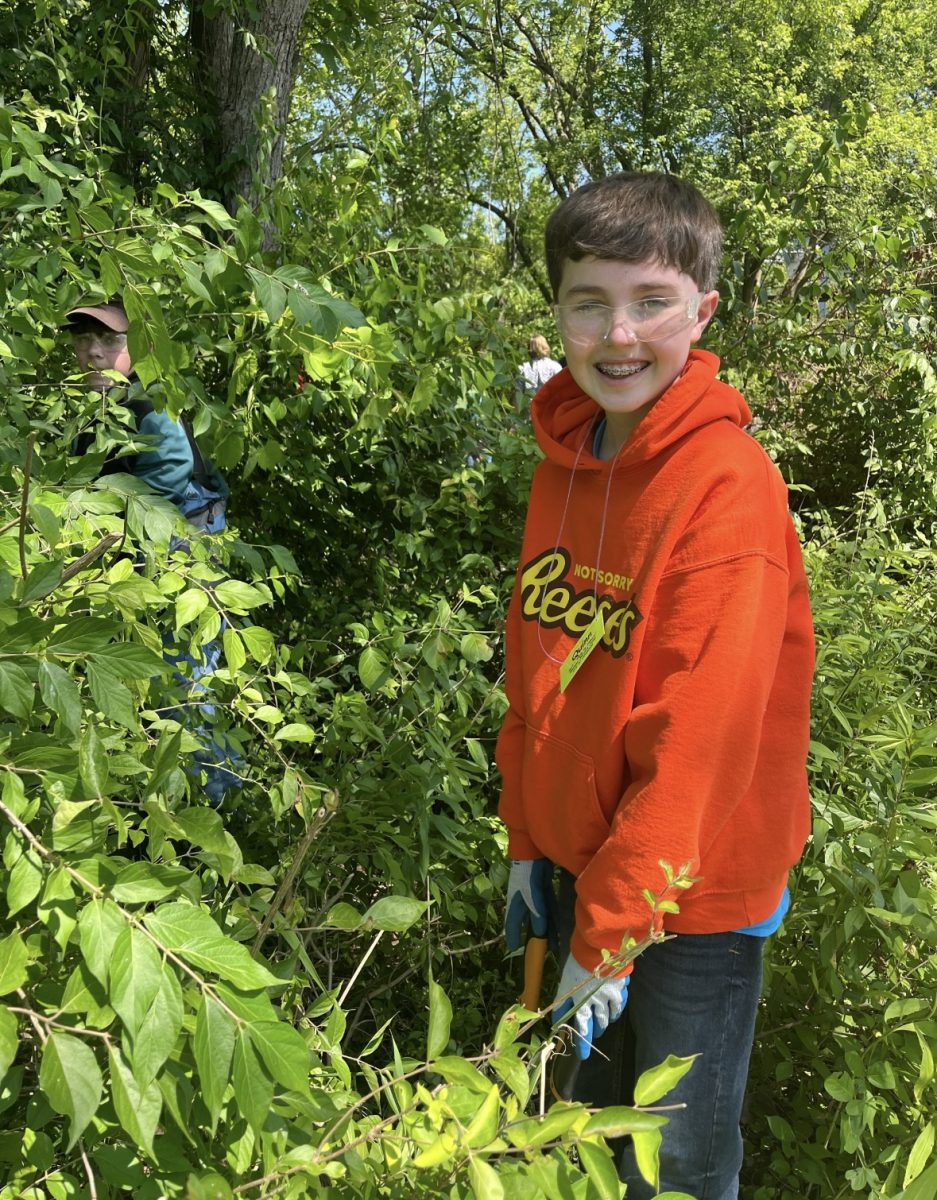 H2o volunteers help clean the park of invasive plant species.  