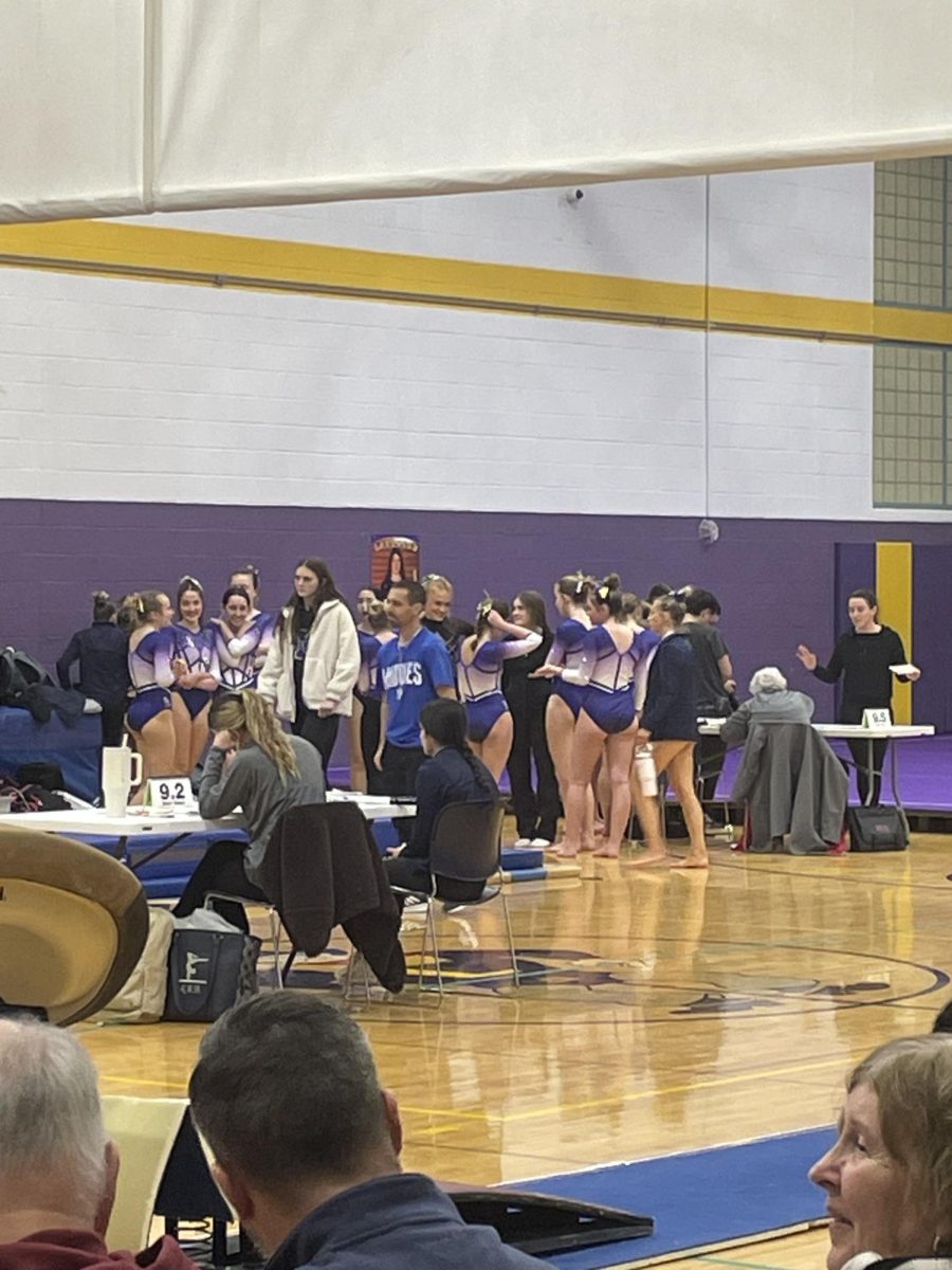 Lakewood gymnasts standing together waiting for their next event.