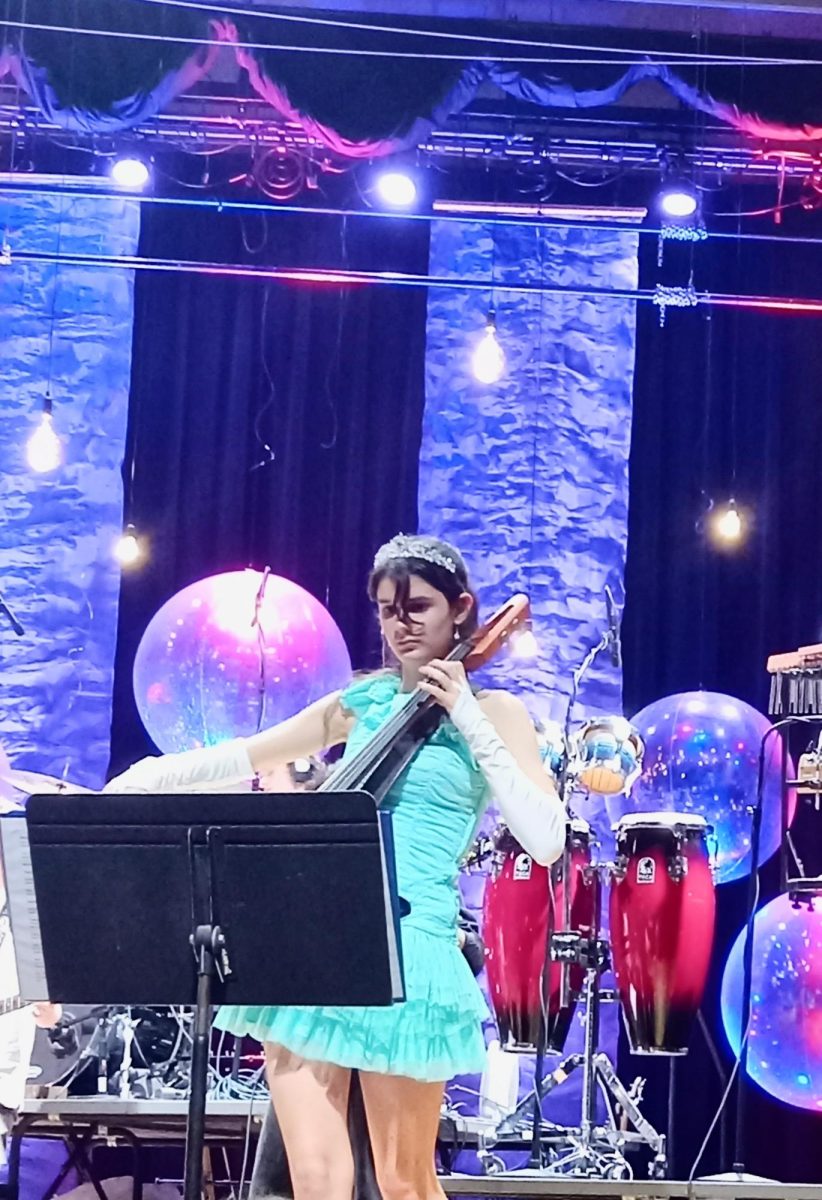 Abigail Peck focused on playing her music while looking fabulous in her princess-like outfit. Photo Credit: Rita Yost