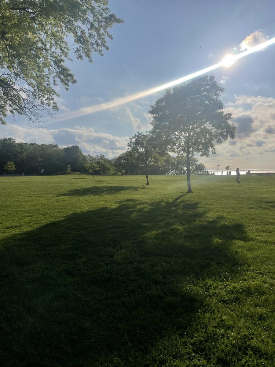 An empty Lakewood Park waiting to be filled with locals enjoying the festivities

