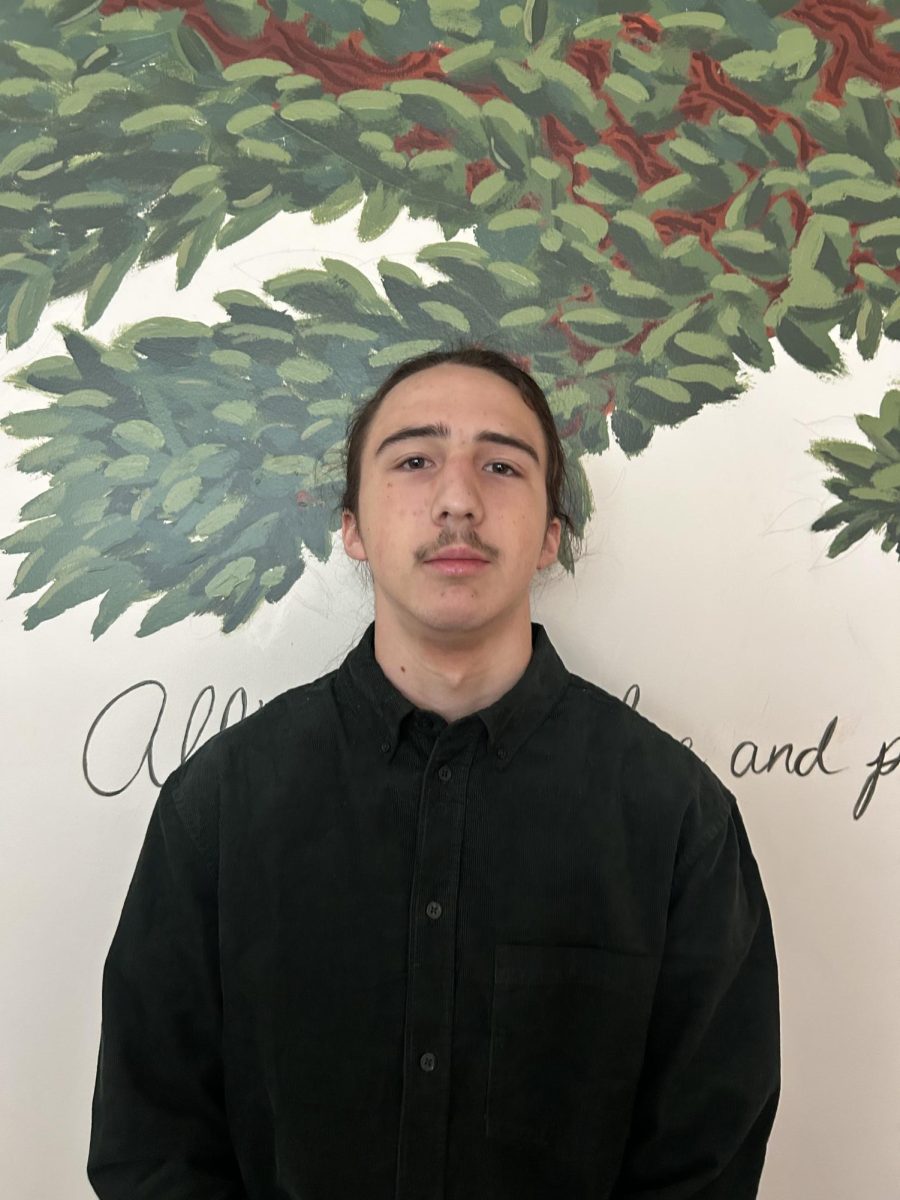 Oleksander Parkankzy