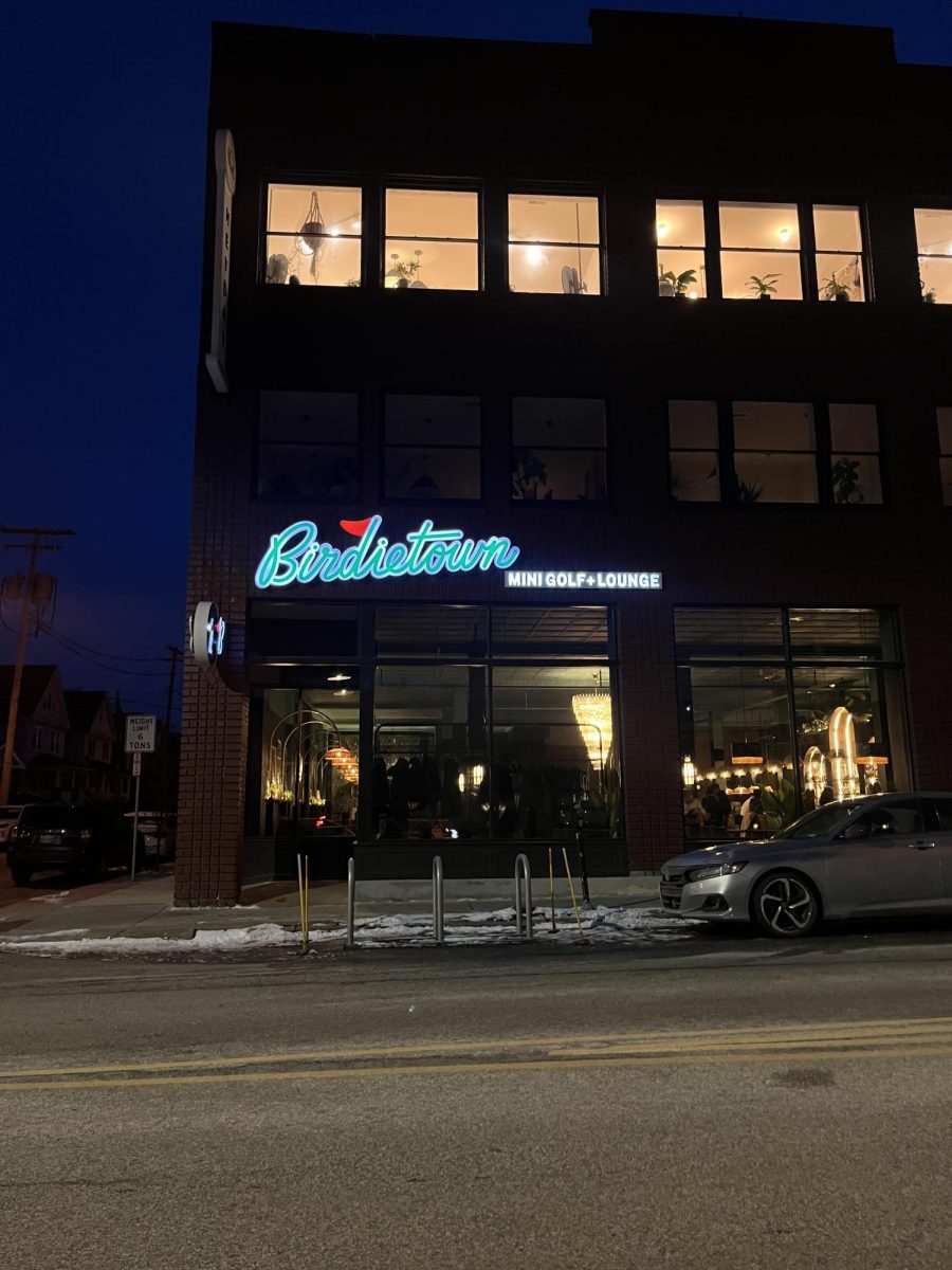 Birdietown sits on the corner of Madison Ave and Lark Street.
