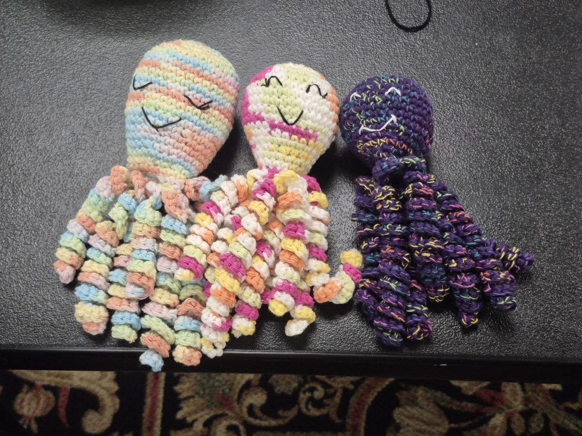 Crocheted octopuses are made for premature babies in the NICU.