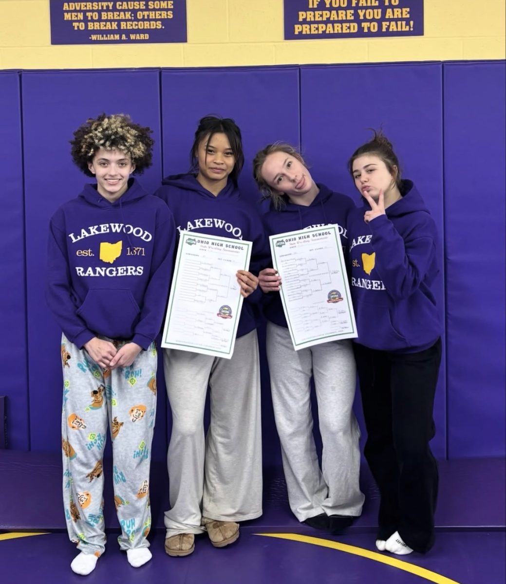 The qualifying girls' wrestlers pose with their awards.