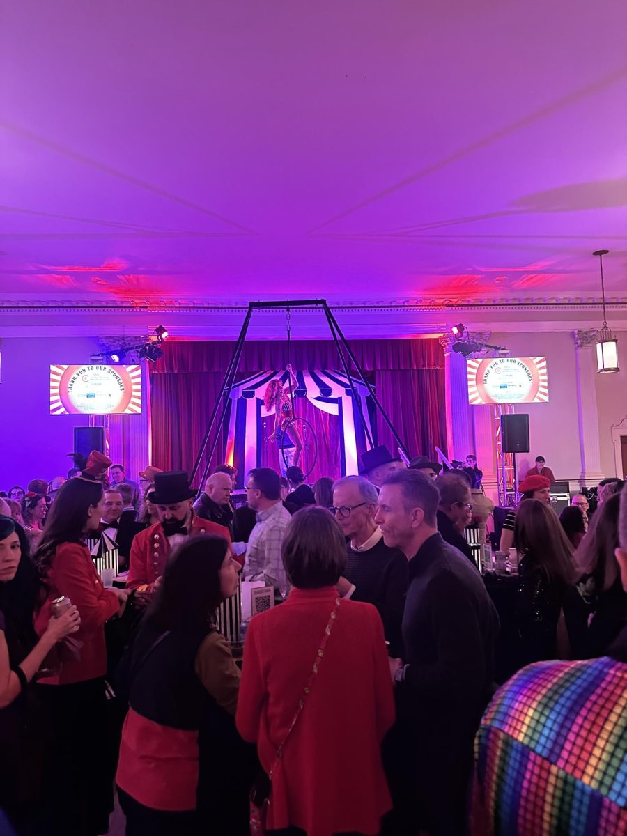 The aerialist performs her routine for the attendees.