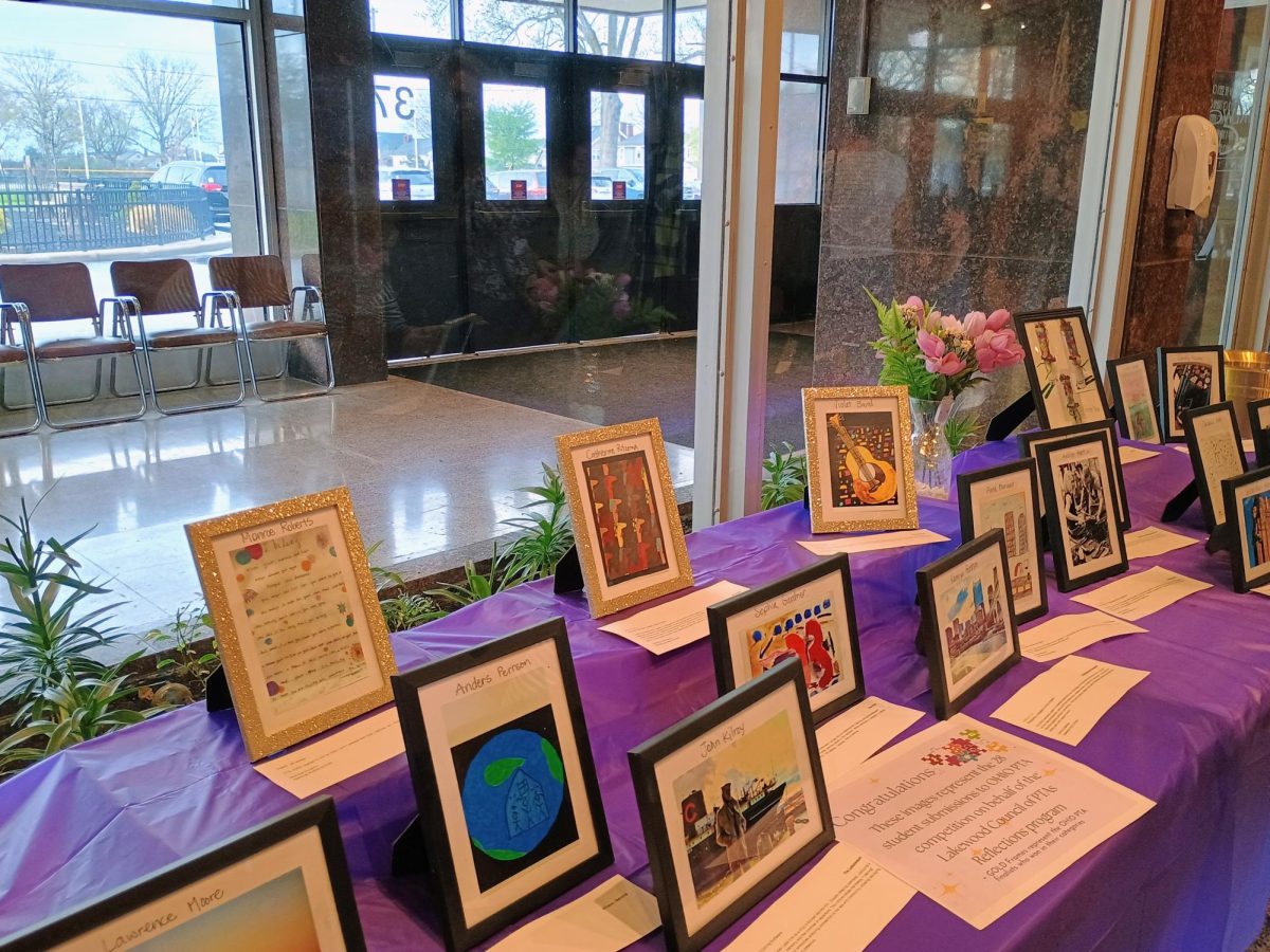 The works on display were submitted to the state level and will compete for state awards.