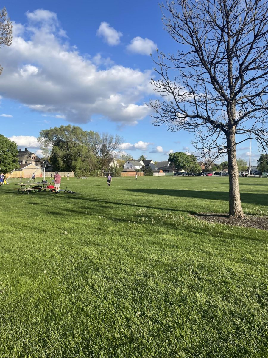 One of the grass fields that the Recreation Department is in charge of, located at Madison Park.